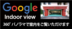 google indoor view